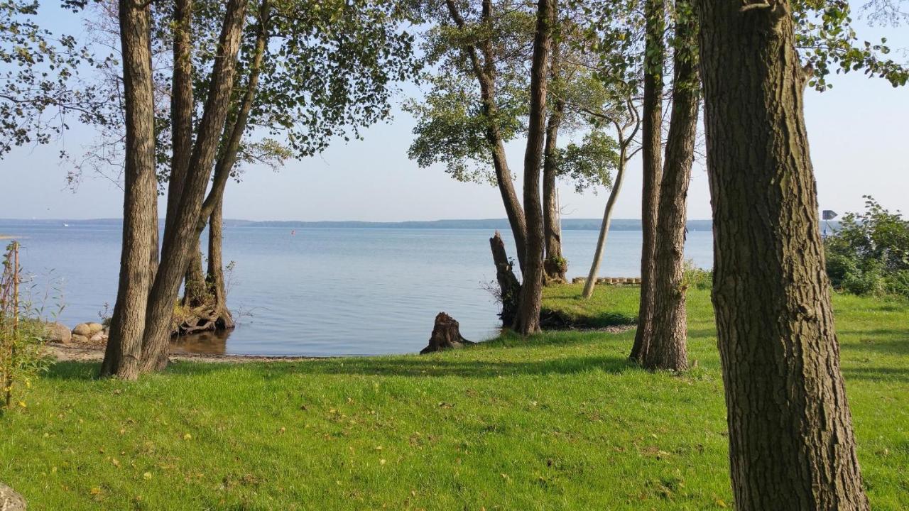 Haus 7 Apartment 2 Hundefreundlich Plau am See Eksteriør billede